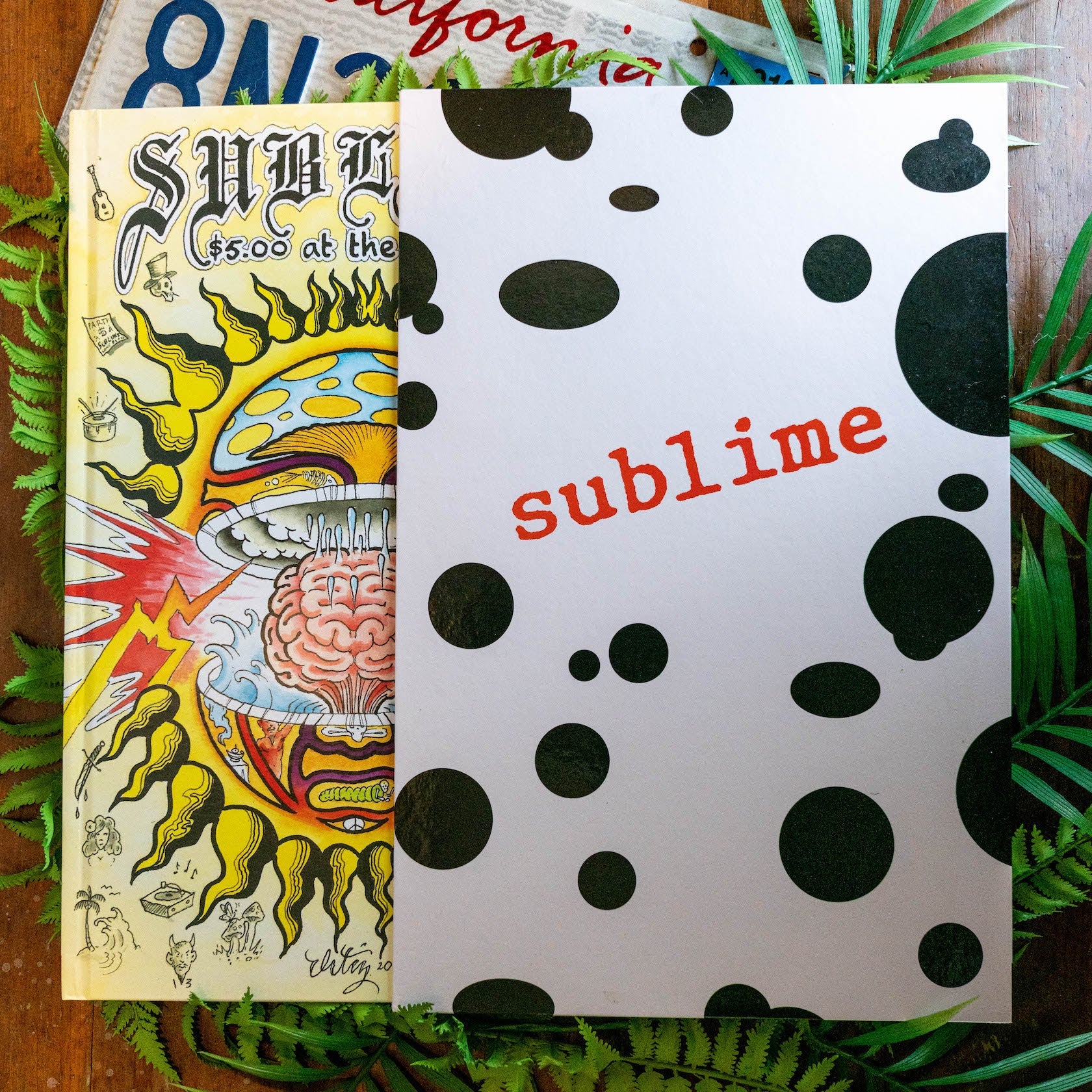 Sublime: $5 at the Door - Deluxe 'Spotted' Vinyl Bundle - Image 3